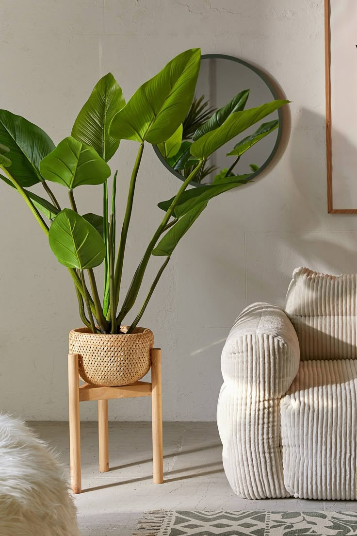 Modern Ceramic Planter Pot