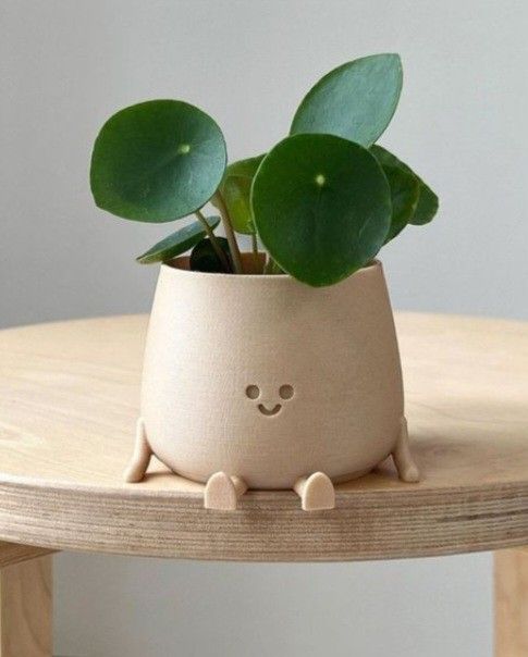 Modern Ceramic Planter Pot